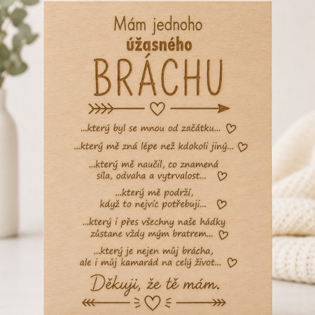 Dárek pro bratra - Mám jednoho úžasného bráchu